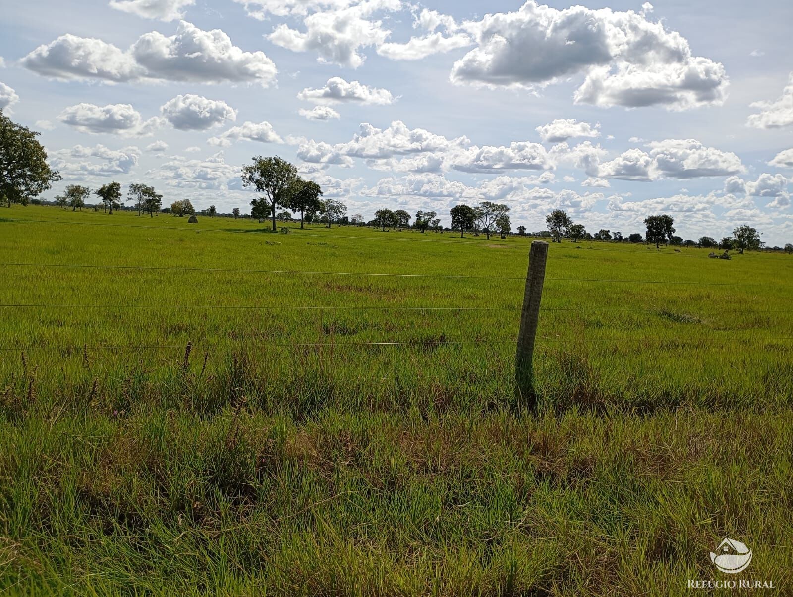 Fazenda em Araguaiana/Mato Grosso — Ref H00PI6 — Imagem 22