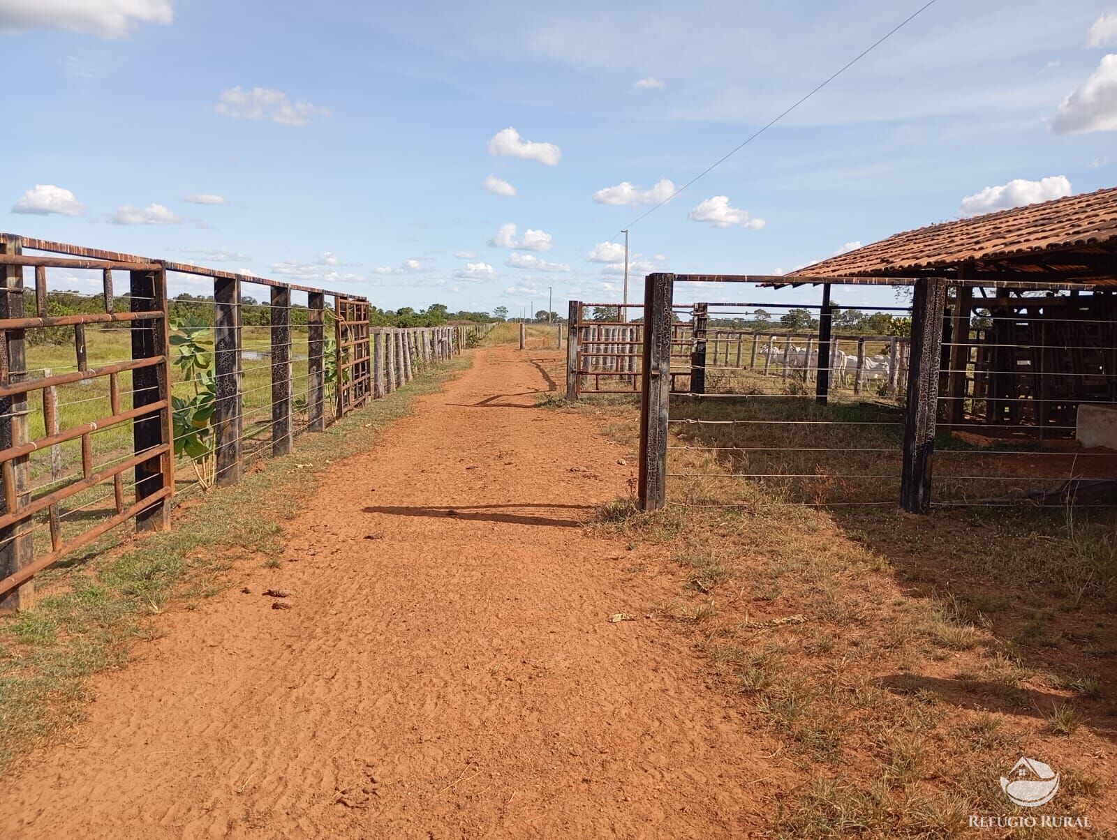 Fazenda em Araguaiana/Mato Grosso — Ref H00PI6 — Imagem 9