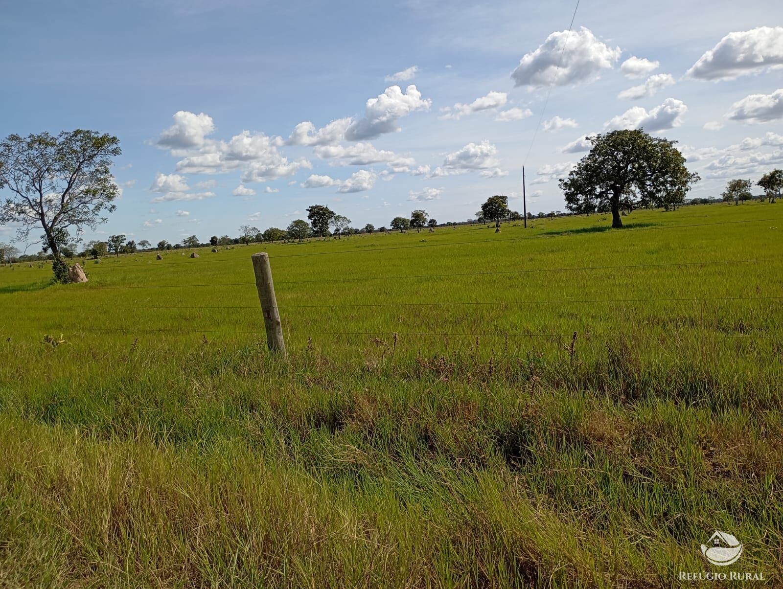 Fazenda, 3911 hectares - Foto 5