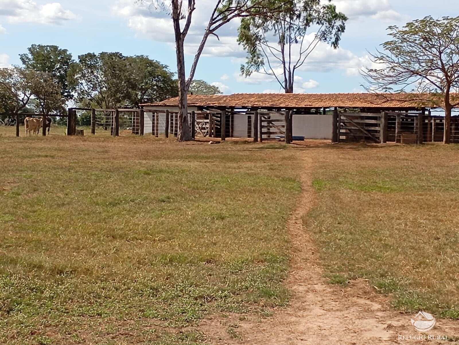 Fazenda em Araguaiana/Mato Grosso — Ref H00PI6 — Imagem 8
