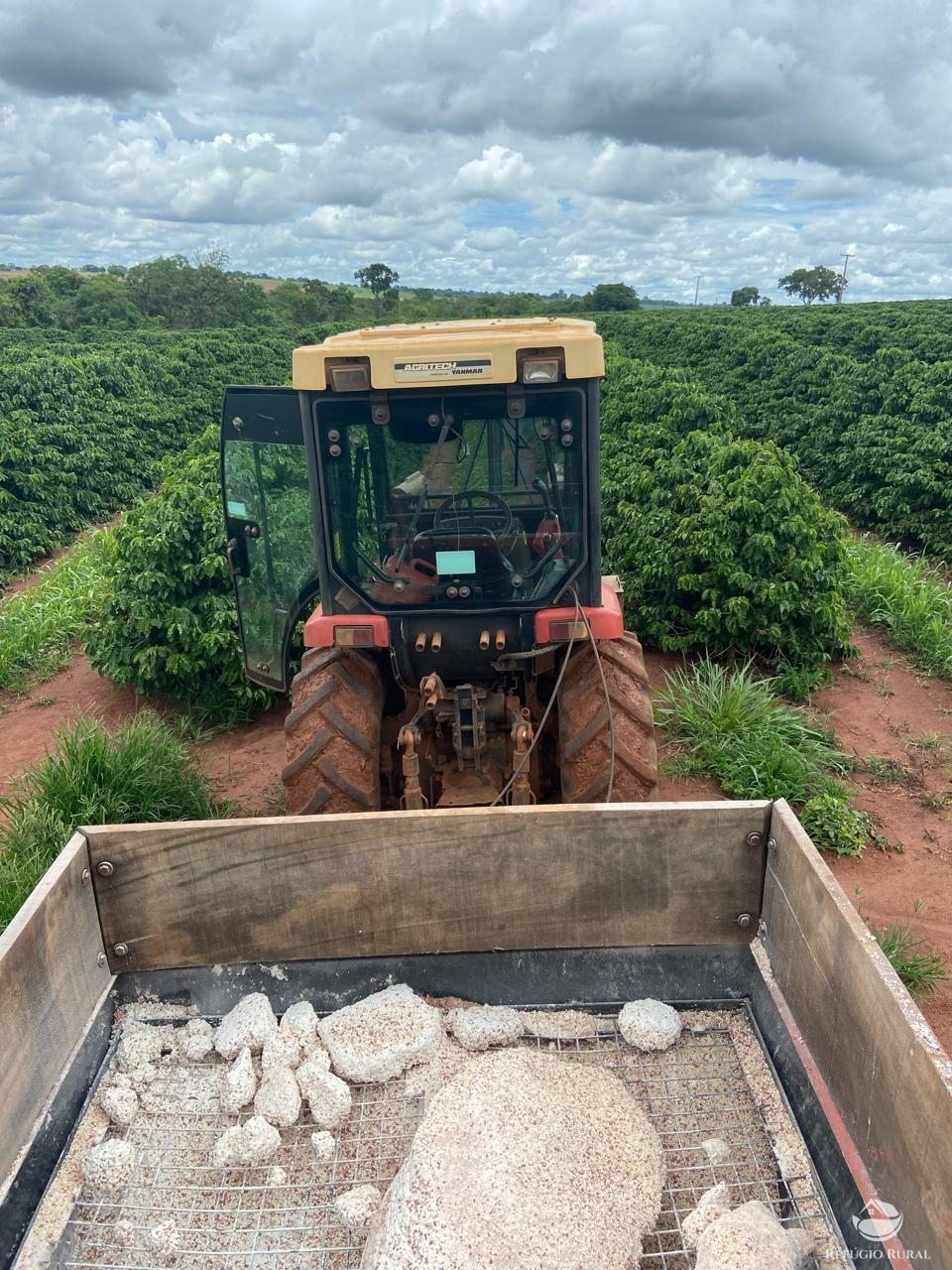 Fazenda à venda com 1 quarto, 580000m² - Foto 4