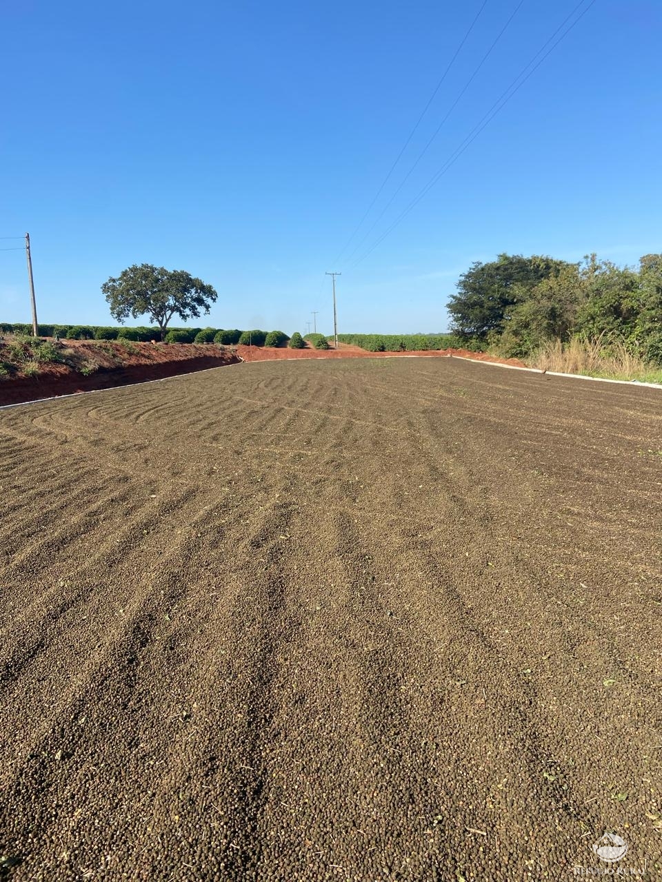 Fazenda à venda com 1 quarto, 580000m² - Foto 5