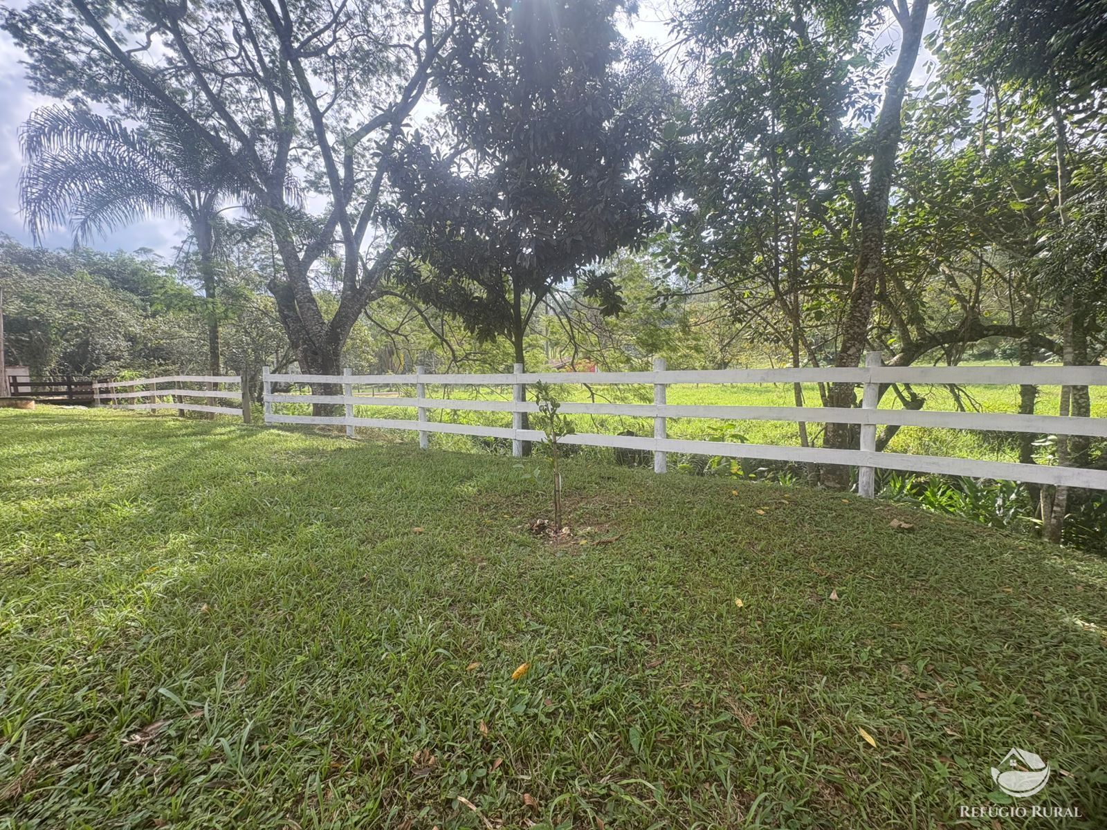 Loja-Salão, 1000 m² - Foto 39