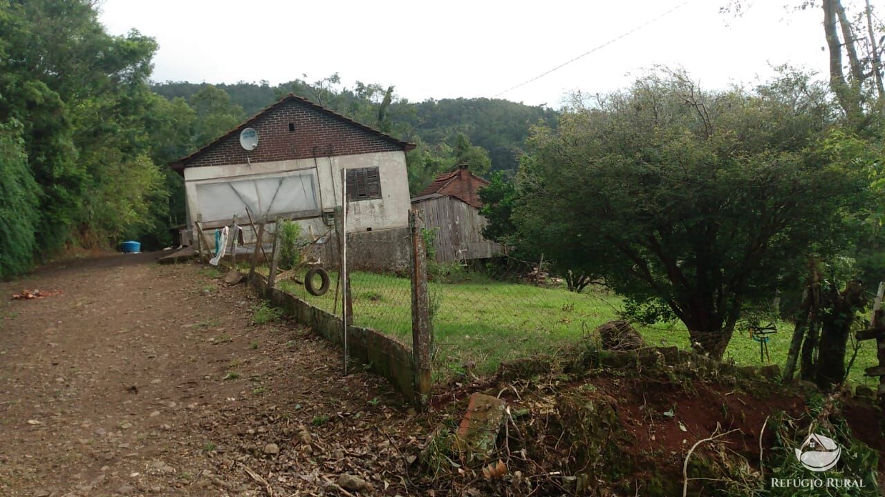 Fazenda à venda com 3 quartos, 97000m² - Foto 17