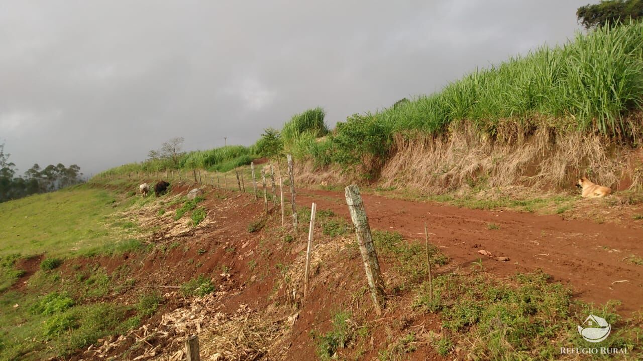 Fazenda à venda com 3 quartos, 97000m² - Foto 18