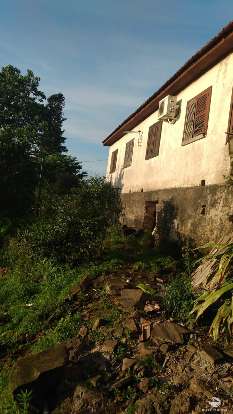 Fazenda à venda com 3 quartos, 97000m² - Foto 8