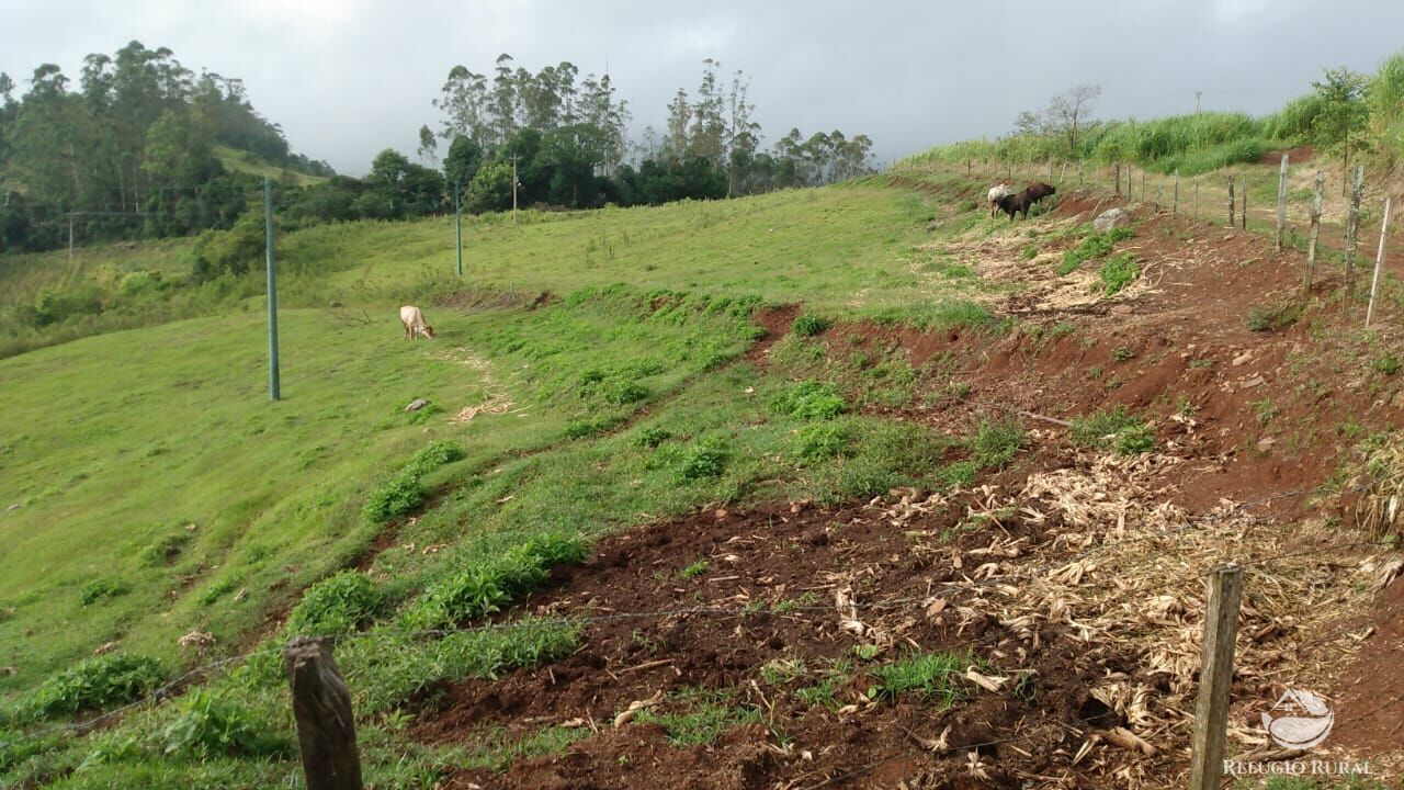 Fazenda à venda com 3 quartos, 97000m² - Foto 16