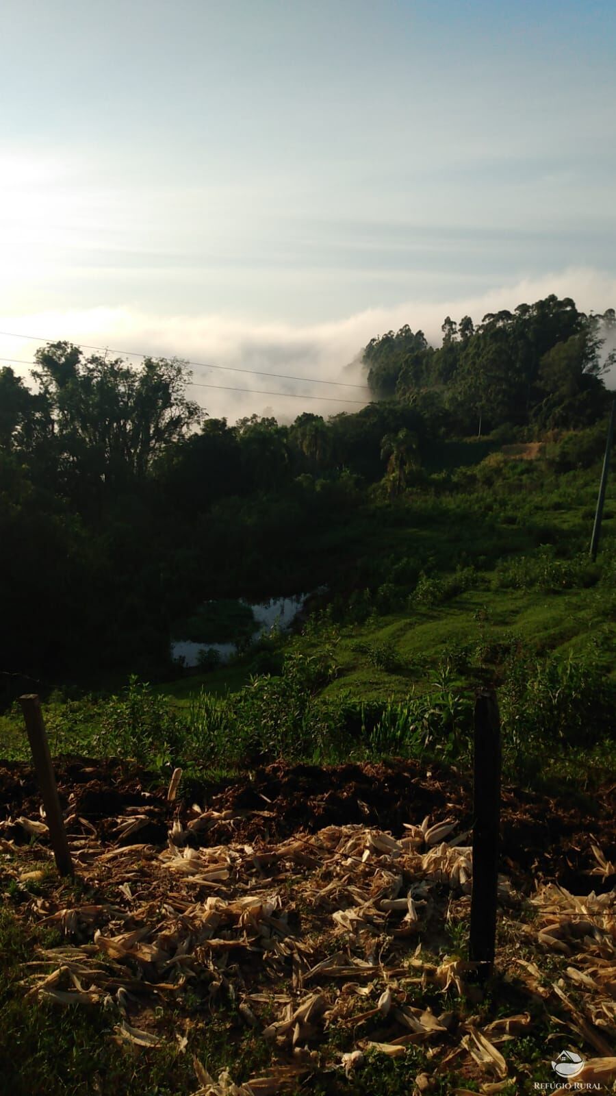 Fazenda à venda com 3 quartos, 97000m² - Foto 15