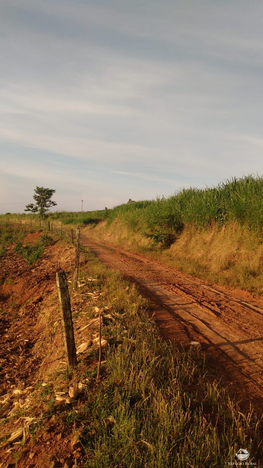 Fazenda à venda com 3 quartos, 97000m² - Foto 13