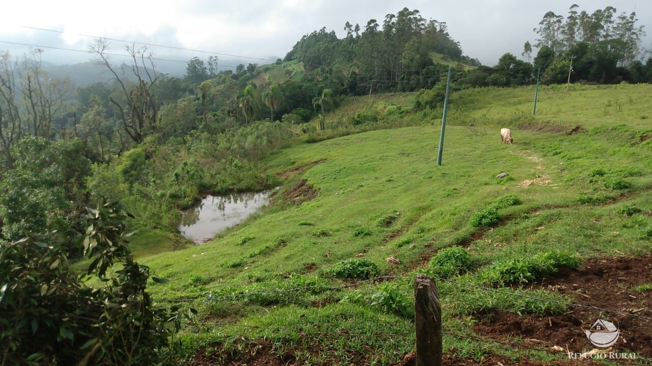 Fazenda à venda com 3 quartos, 97000m² - Foto 4