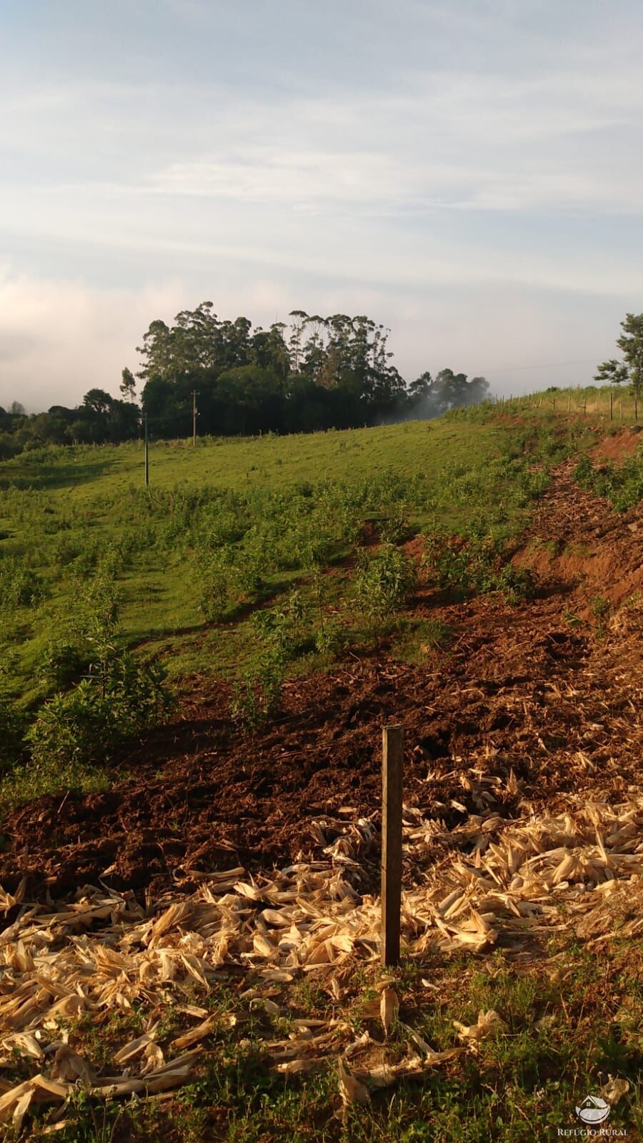 Fazenda à venda com 3 quartos, 97000m² - Foto 14