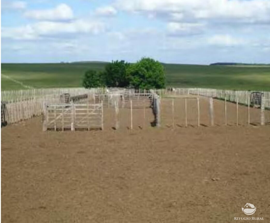 Fazenda à venda com 2 quartos, 60000000m² - Foto 29