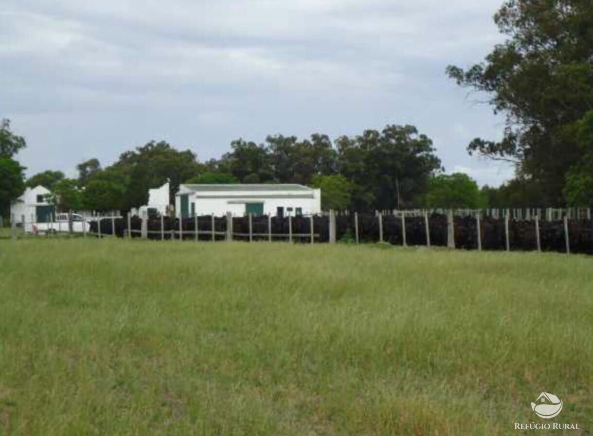 Fazenda à venda com 2 quartos, 60000000m² - Foto 22