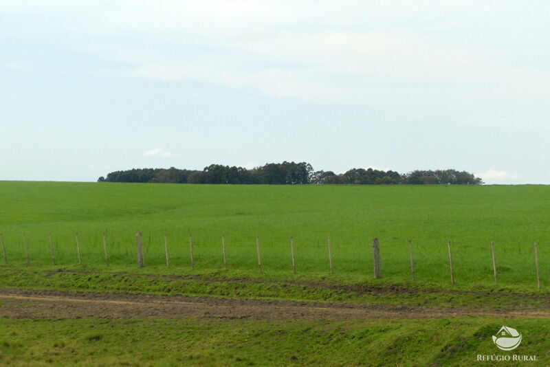 Fazenda à venda com 2 quartos, 60000000m² - Foto 30