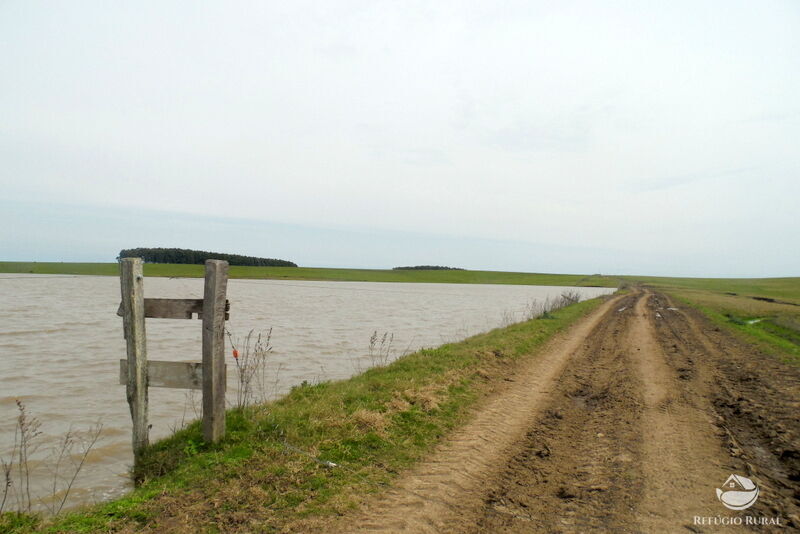 Fazenda à venda com 2 quartos, 60000000m² - Foto 39