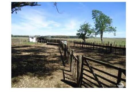 Fazenda à venda com 2 quartos, 60000000m² - Foto 40