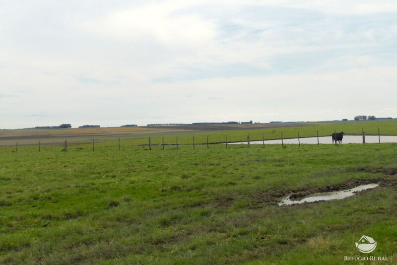 Fazenda à venda com 2 quartos, 60000000m² - Foto 25