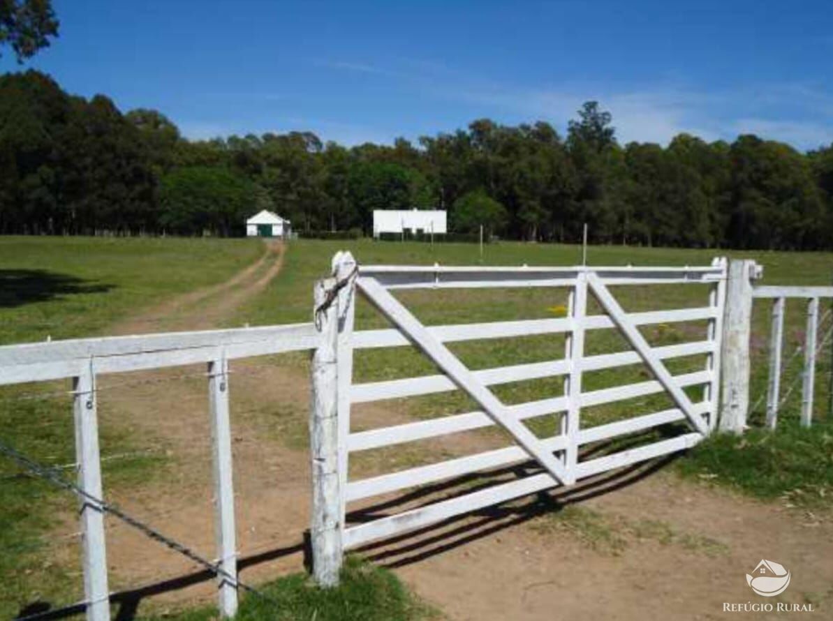 Fazenda à venda com 2 quartos, 60000000m² - Foto 41