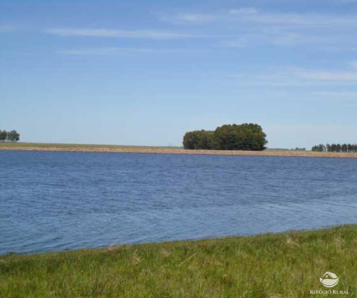 Fazenda à venda com 2 quartos, 60000000m² - Foto 35