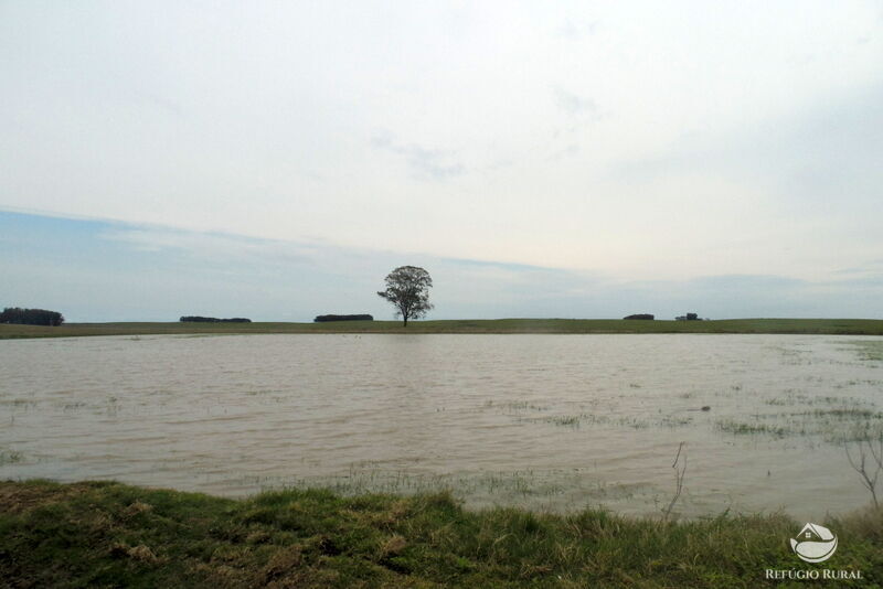 Fazenda à venda com 2 quartos, 60000000m² - Foto 31