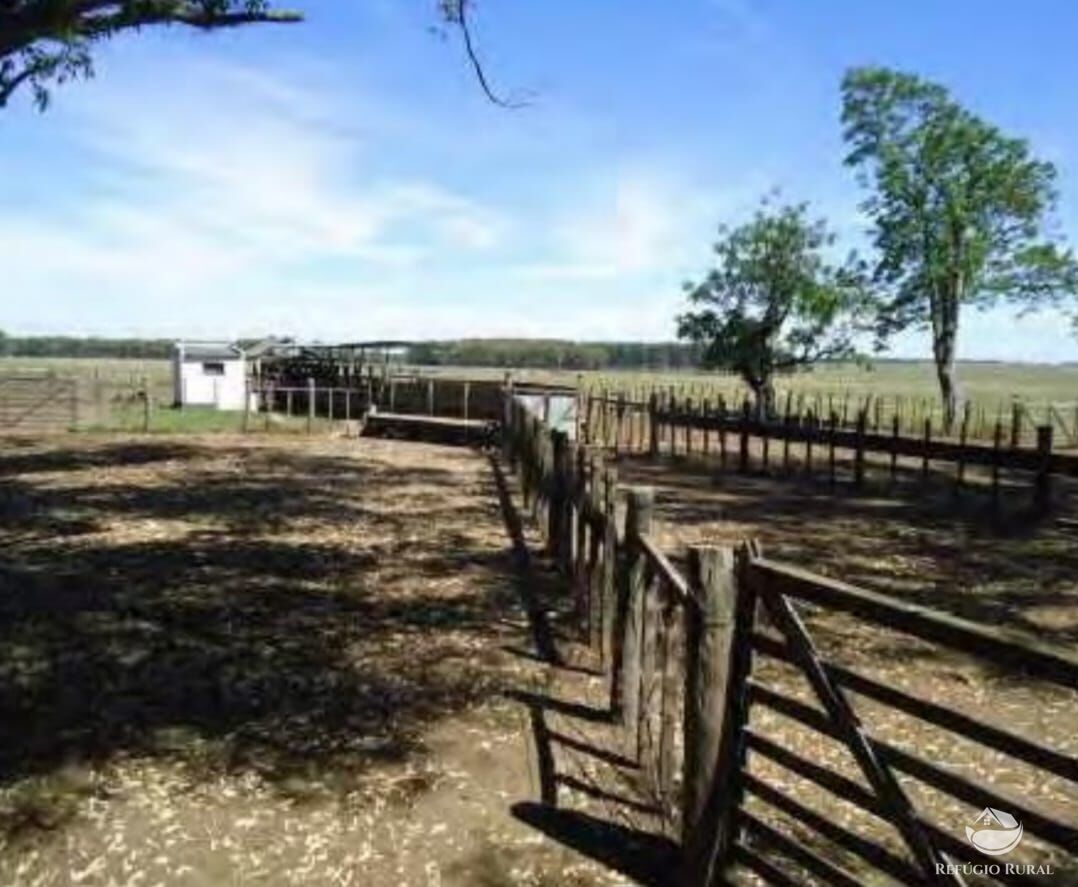 Fazenda à venda com 2 quartos, 60000000m² - Foto 32