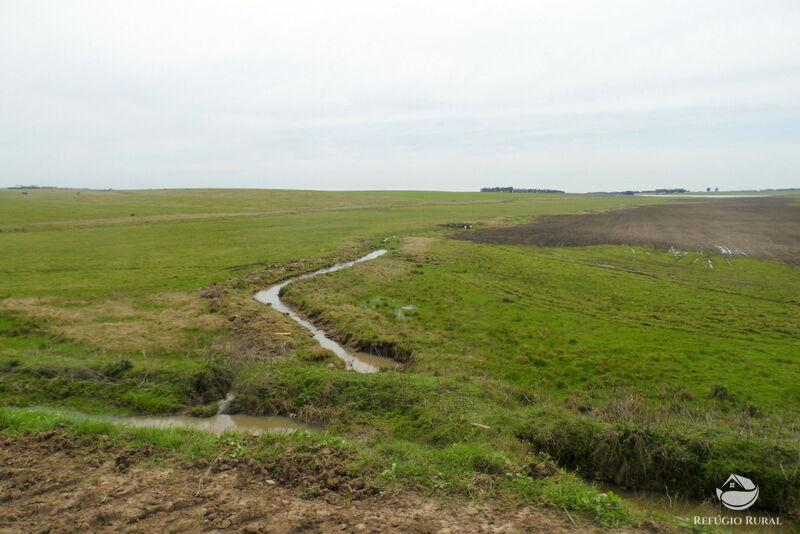 Fazenda à venda com 2 quartos, 60000000m² - Foto 33