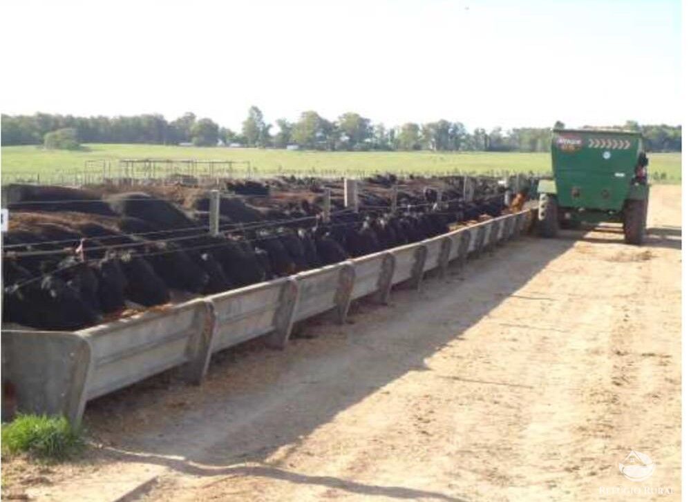 Fazenda à venda com 2 quartos, 60000000m² - Foto 15