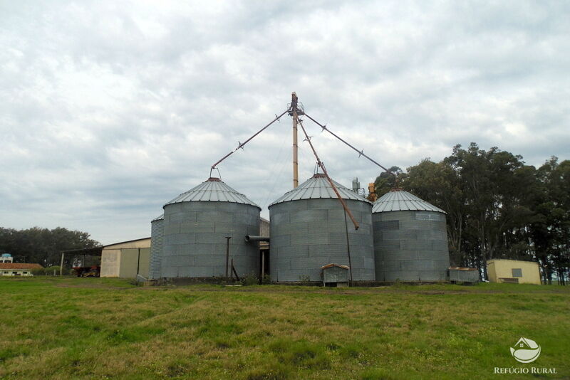 Fazenda à venda com 2 quartos, 60000000m² - Foto 21