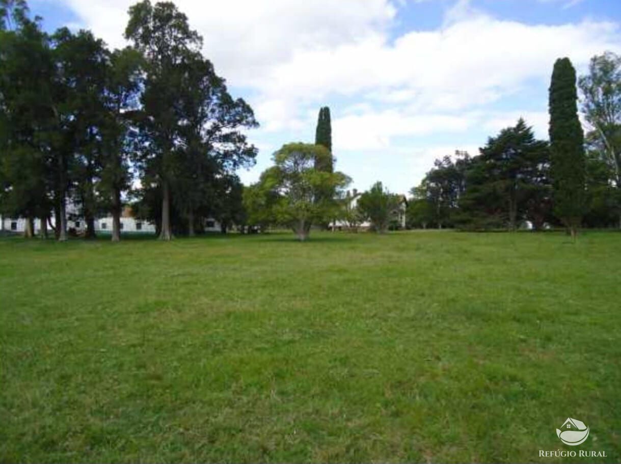 Fazenda à venda com 2 quartos, 60000000m² - Foto 20