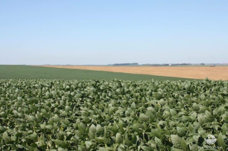 Fazenda à venda com 2 quartos, 60000000m² - Foto 5