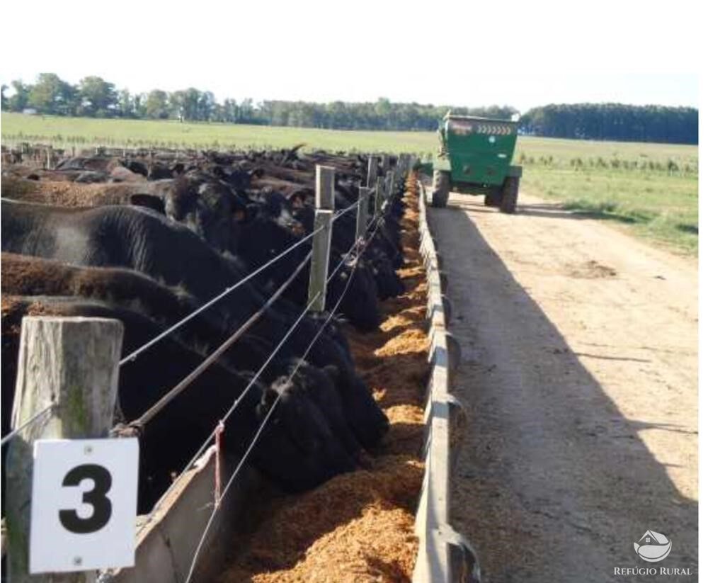 Fazenda à venda com 2 quartos, 60000000m² - Foto 16