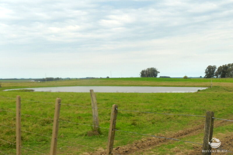 Fazenda à venda com 2 quartos, 60000000m² - Foto 48