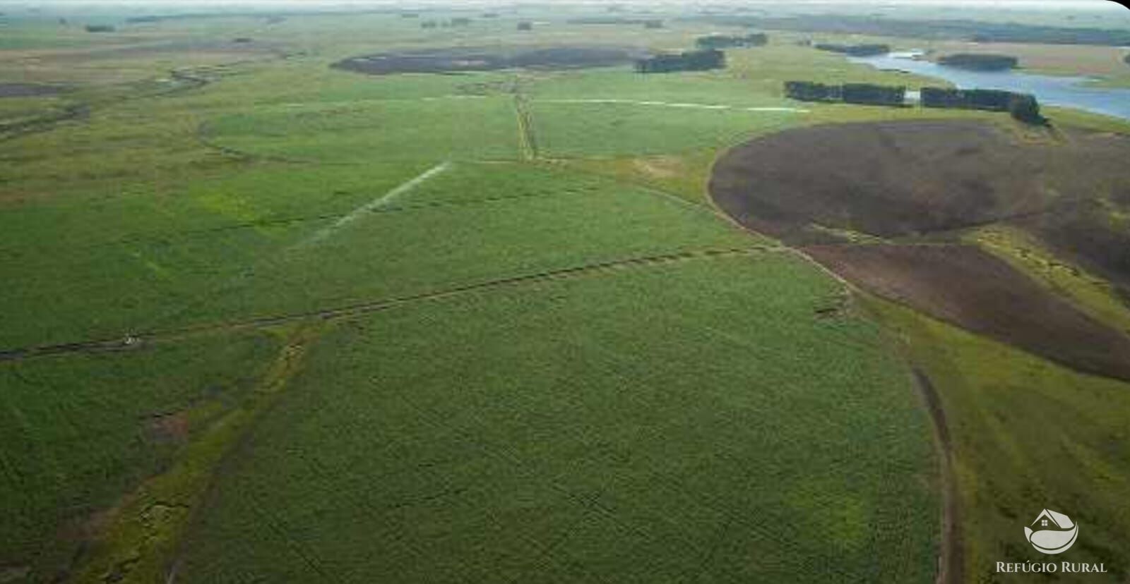 Fazenda à venda com 2 quartos, 60000000m² - Foto 2