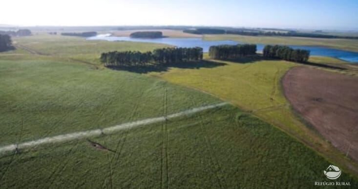 Fazenda à venda com 2 quartos, 60000000m² - Foto 47