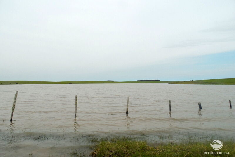 Fazenda à venda com 2 quartos, 60000000m² - Foto 45