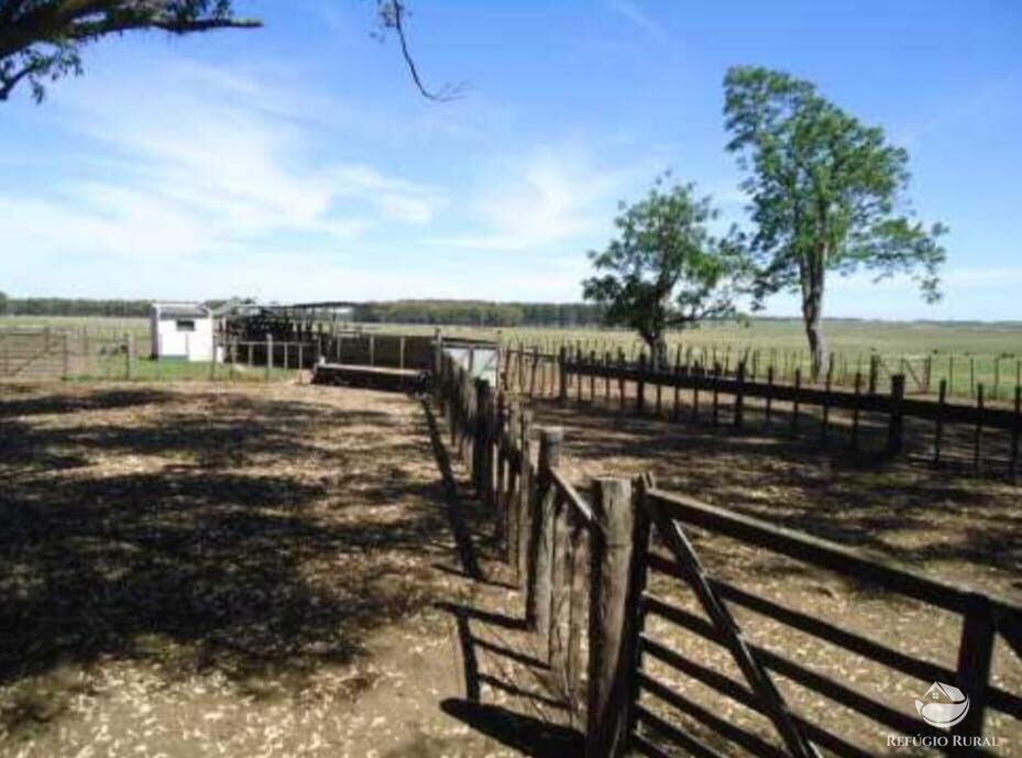 Fazenda à venda com 2 quartos, 60000000m² - Foto 11