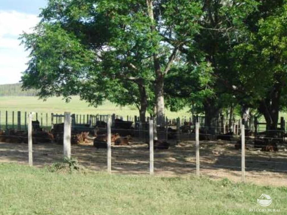 Fazenda à venda com 2 quartos, 60000000m² - Foto 7