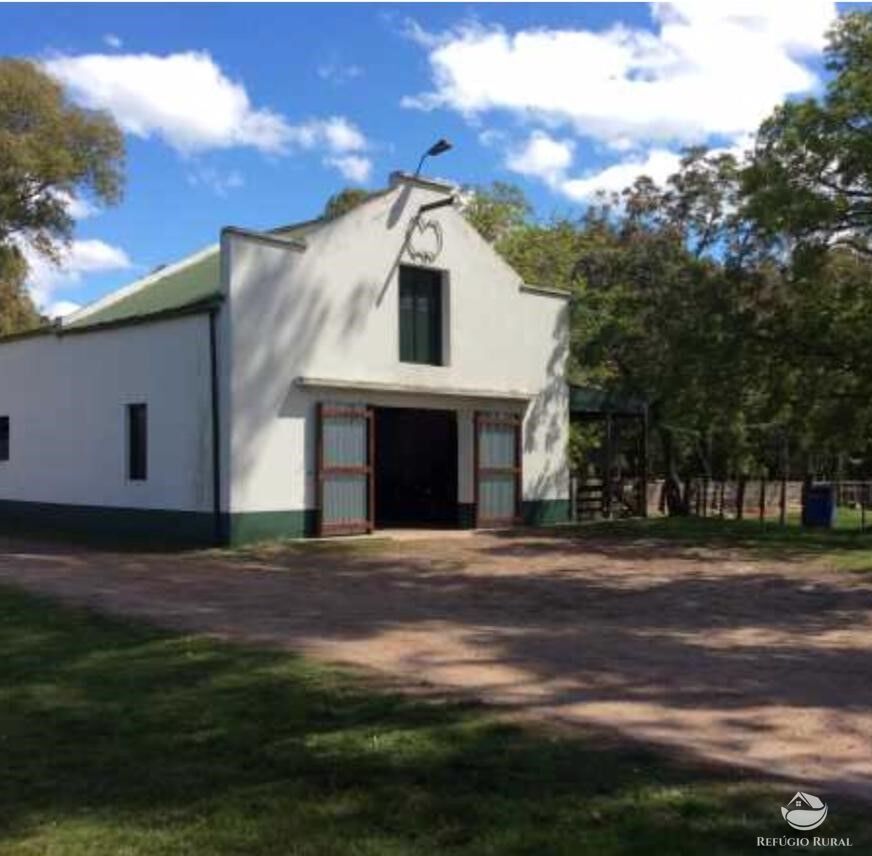 Fazenda à venda com 2 quartos, 60000000m² - Foto 9