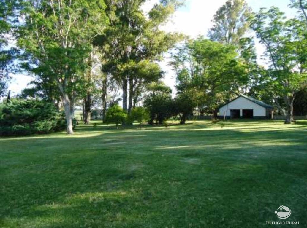 Fazenda à venda com 2 quartos, 60000000m² - Foto 3