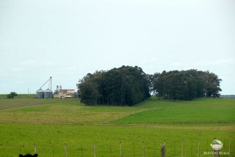 Fazenda à venda com 2 quartos, 60000000m² - Foto 43