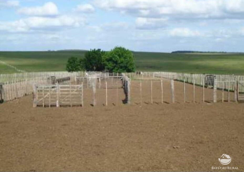 Fazenda à venda com 2 quartos, 60000000m² - Foto 10