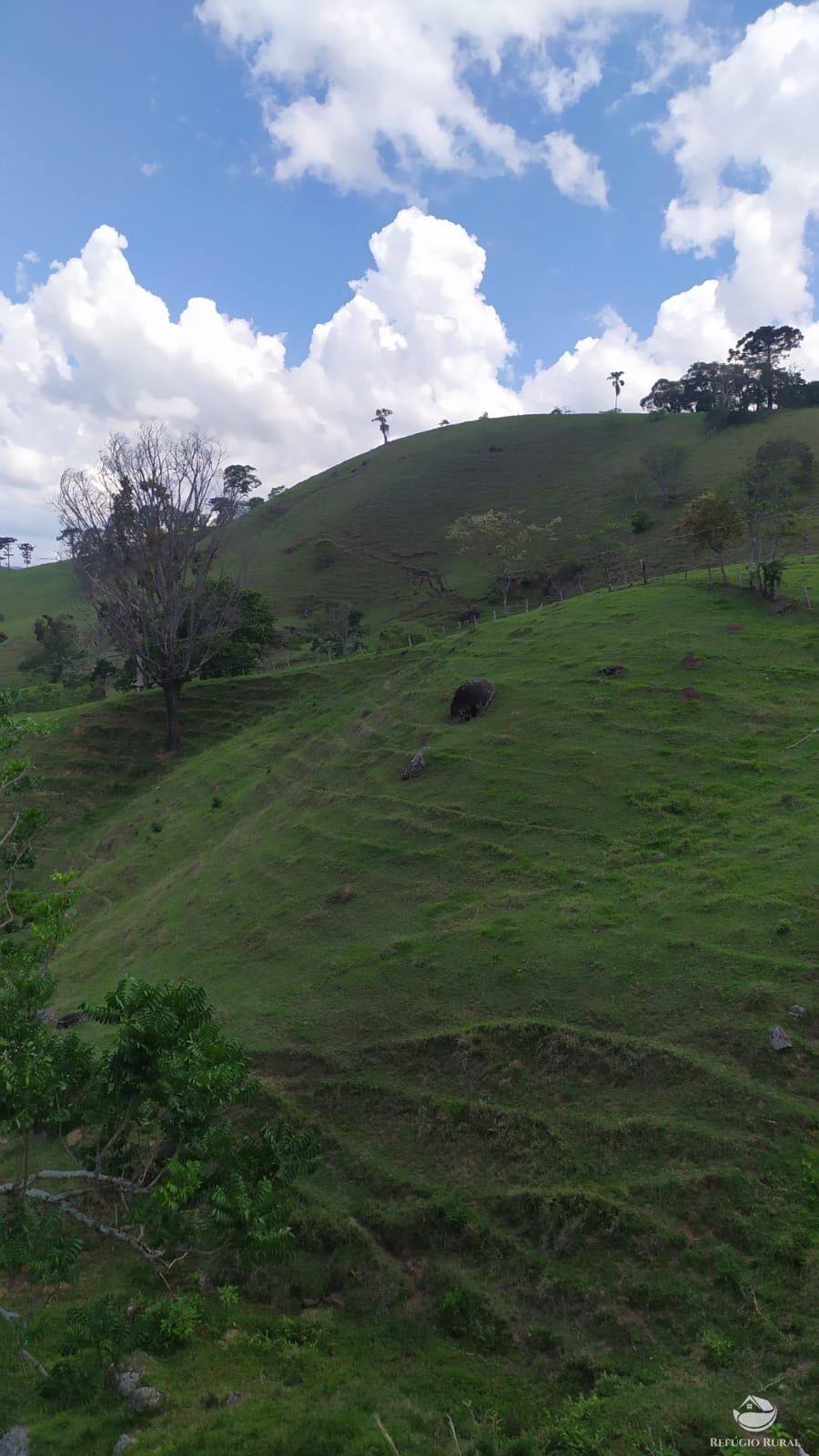 Terreno à venda, 96800m² - Foto 9