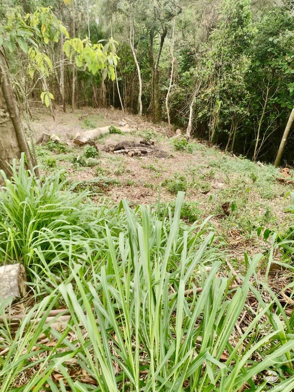 Terreno, 3038 m² - Foto 3