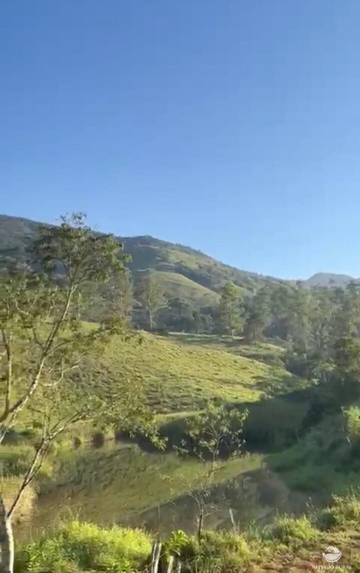 Chácara, 87 hectares - Foto 3
