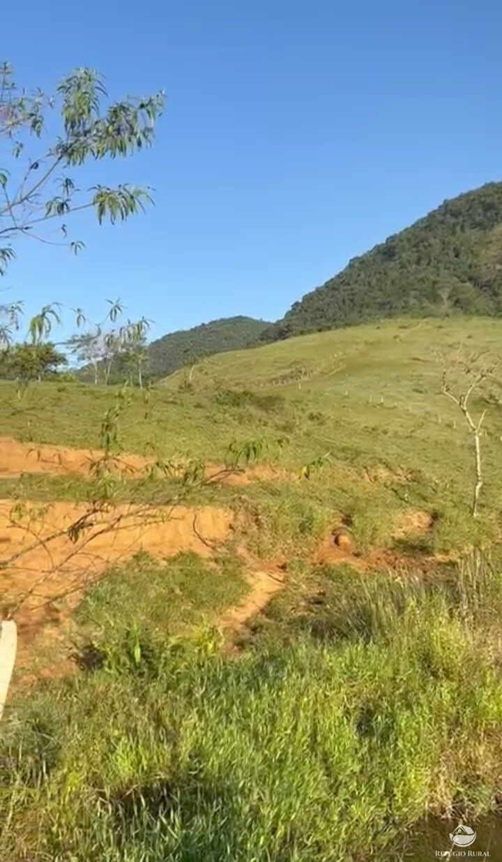 Chácara, 87 hectares - Foto 4