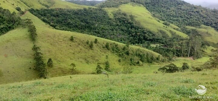 Terreno à venda, 121000m² - Foto 1