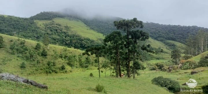 Terreno à venda, 121000m² - Foto 4