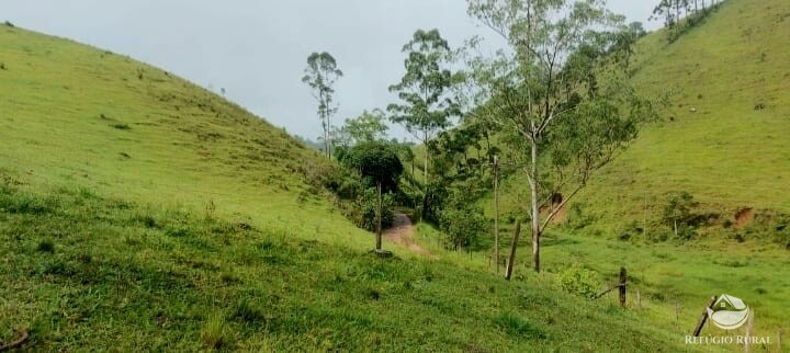 Terreno à venda, 121000m² - Foto 7