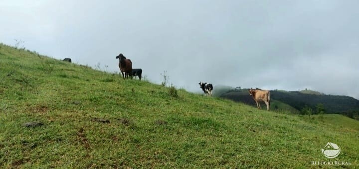 Terreno à venda, 121000m² - Foto 10