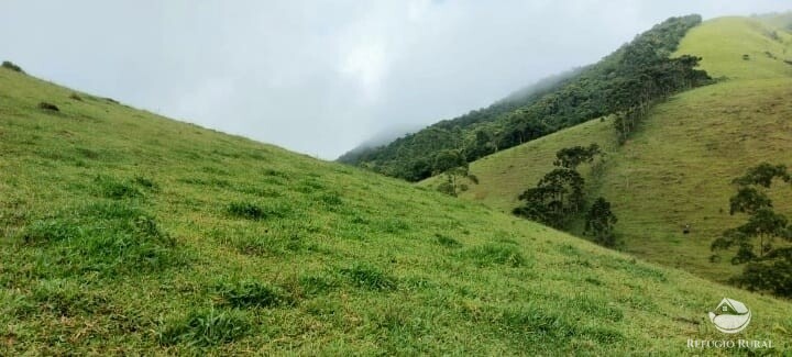 Terreno à venda, 121000m² - Foto 11